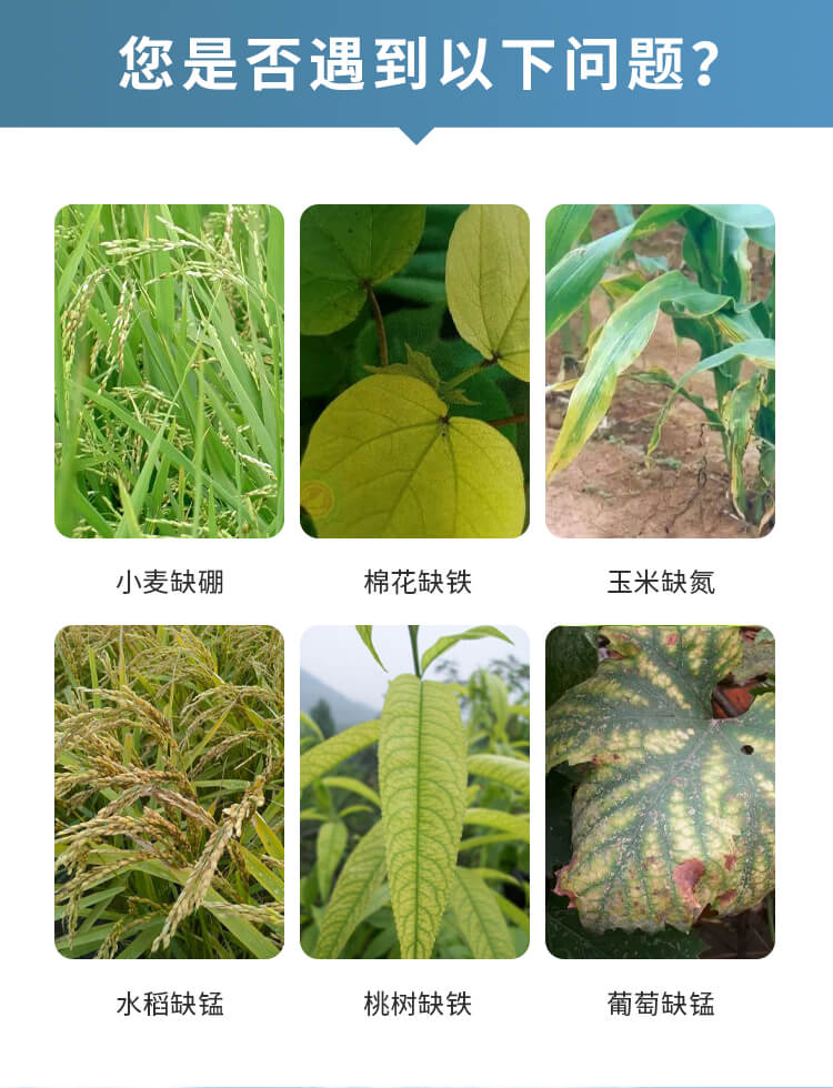土壤微量元素分析儀