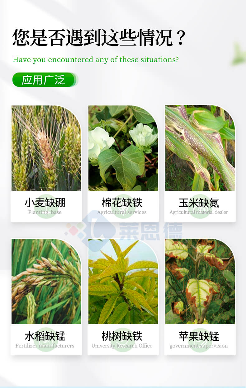 測(cè)土配肥儀