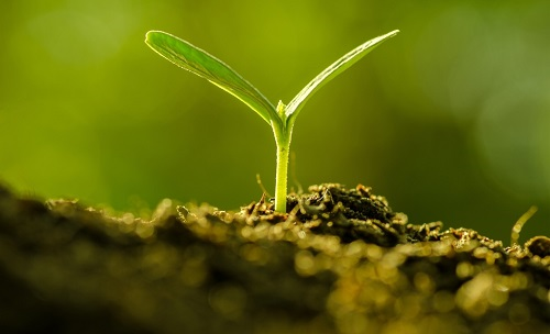 為避免誤導(dǎo)用戶，便攜式土壤水分速測(cè)儀使用需注意