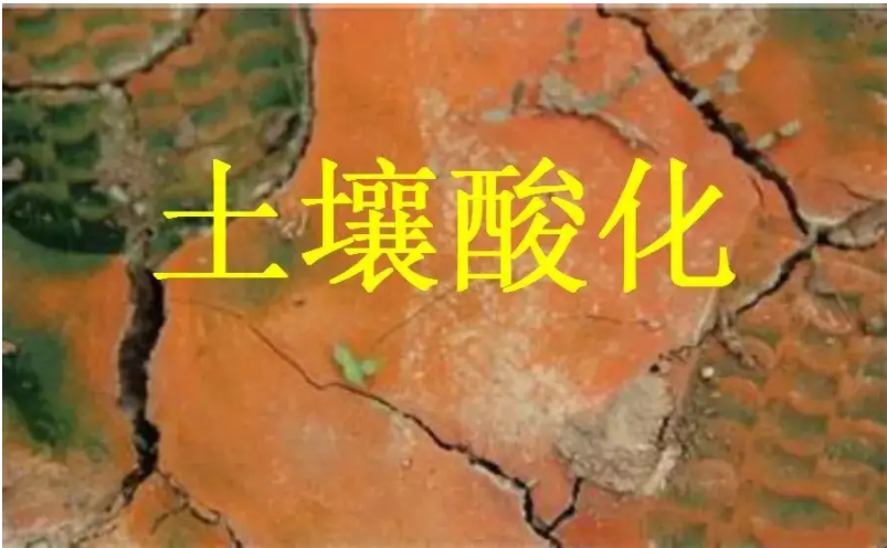 識(shí)別土壤“病”，土壤測試儀器是如何提高土壤免疫力的？