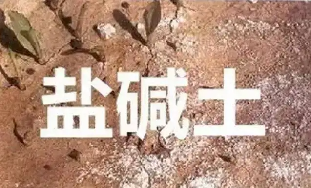 作物為什么生長不健康，用土壤EC計測測便知