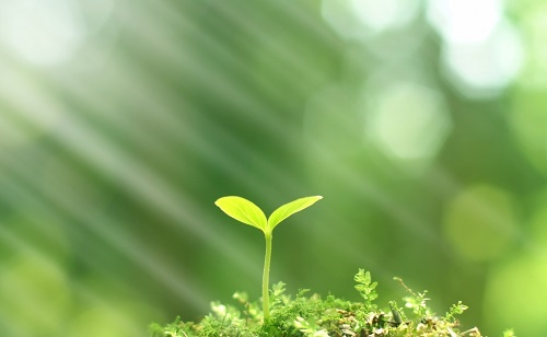 推廣測土配方施肥技術(shù)的有哪些好處？