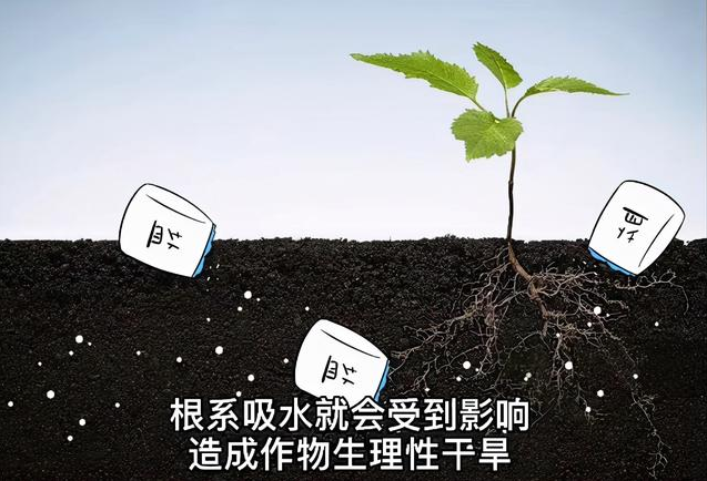 土壤EC值和pH值與作物生長(zhǎng)的關(guān)系，利用土壤鹽分儀緩解土壤鹽漬化