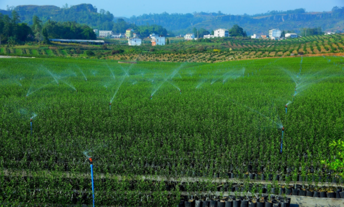利用土壤水分測(cè)定儀實(shí)現(xiàn)精準(zhǔn)灌溉，按需灌溉